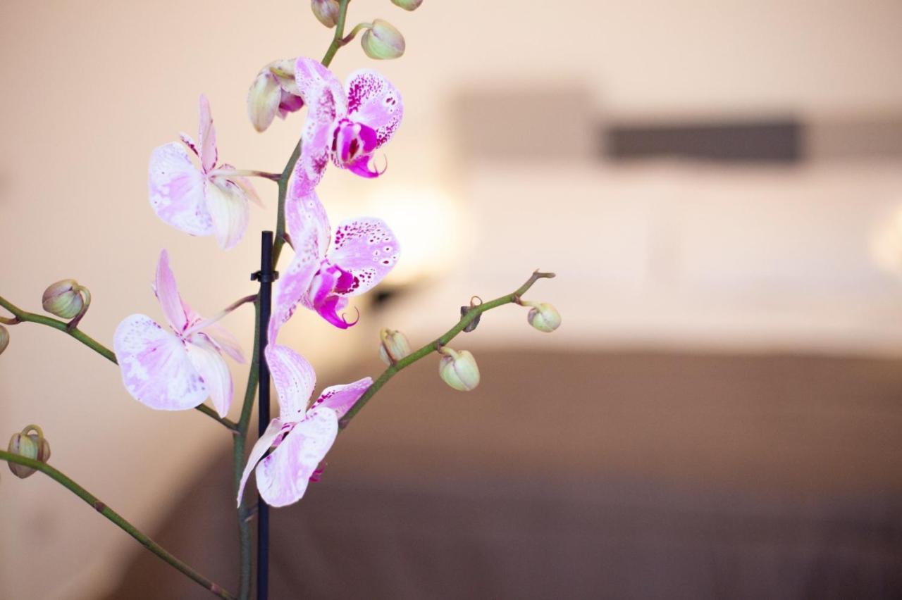 Casapaola B&B Rooms Acireale Dış mekan fotoğraf